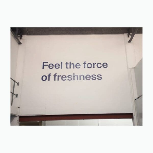 Wall Decals